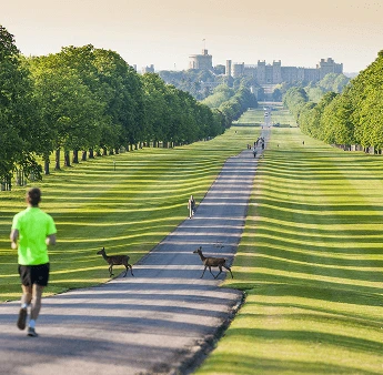 Long Walk, Windsor